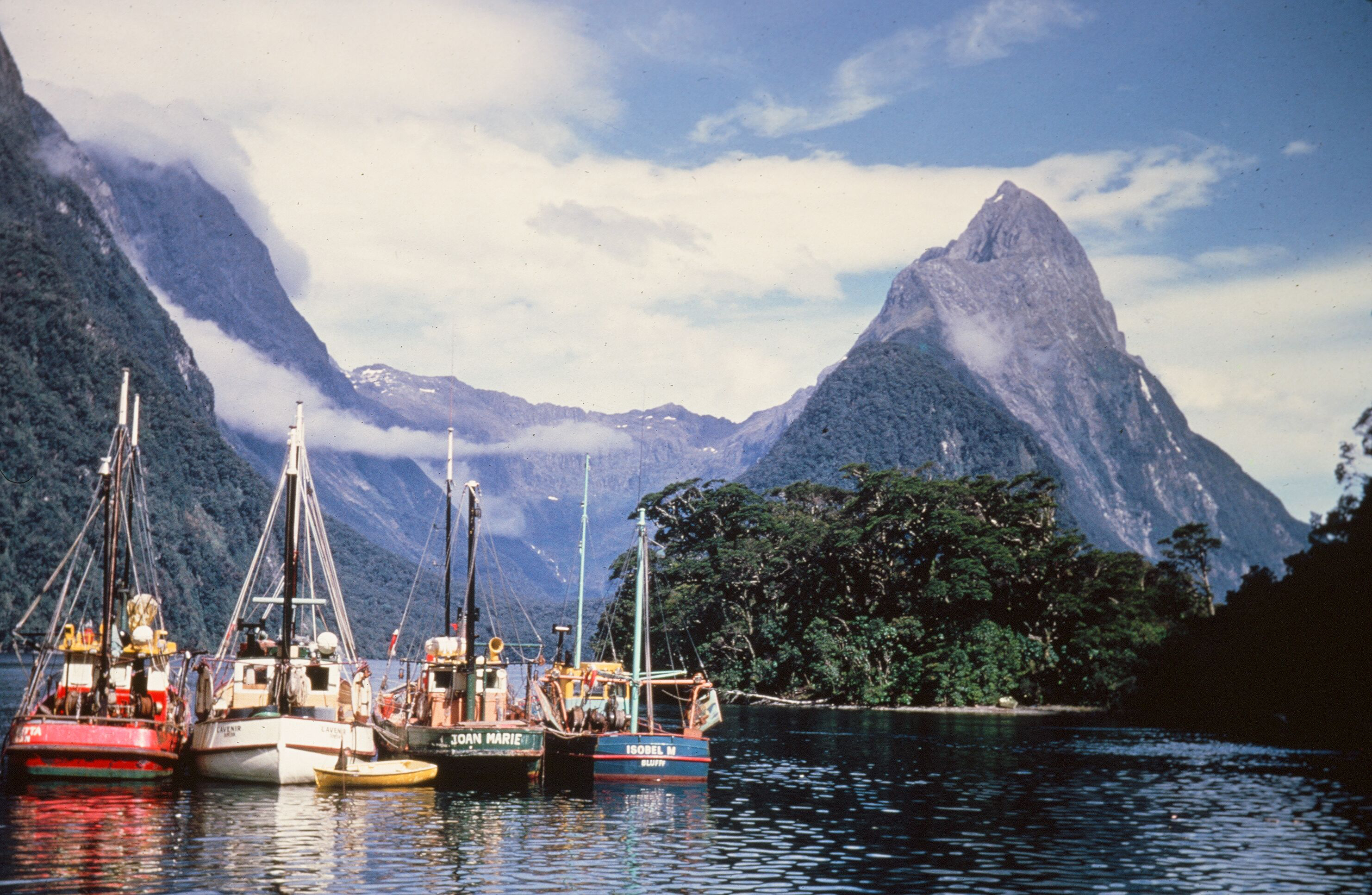 Fishing boats in New Zealand's Milford Sound.